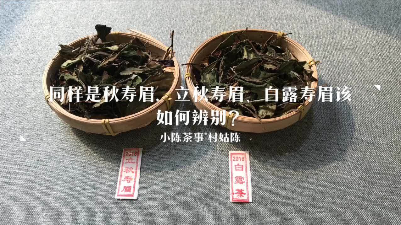 紧压寿眉是什么茶(07/01更新)