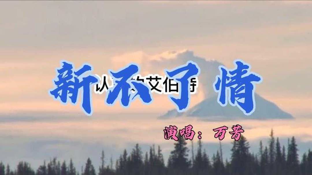 新不了情歌词(03/23更新)