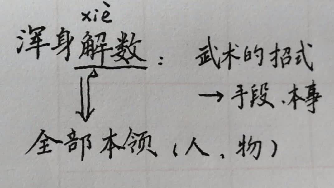 浑身解数的意思