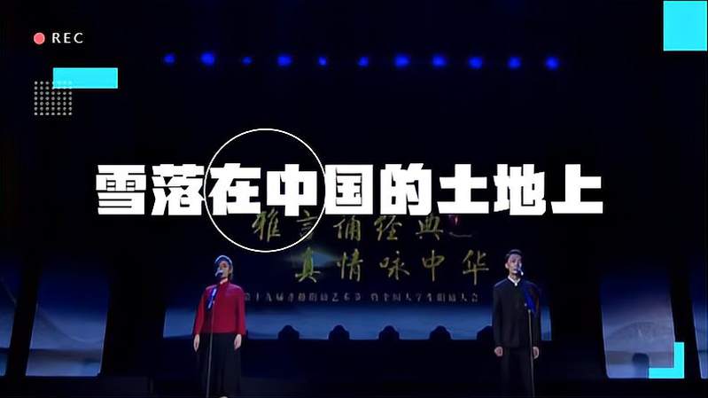 雪落在中国的土地上赏析