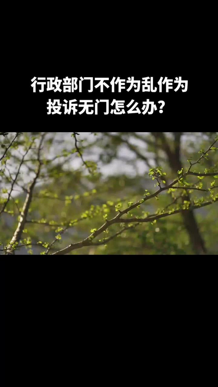 律师无作为怎么办?(01/15)