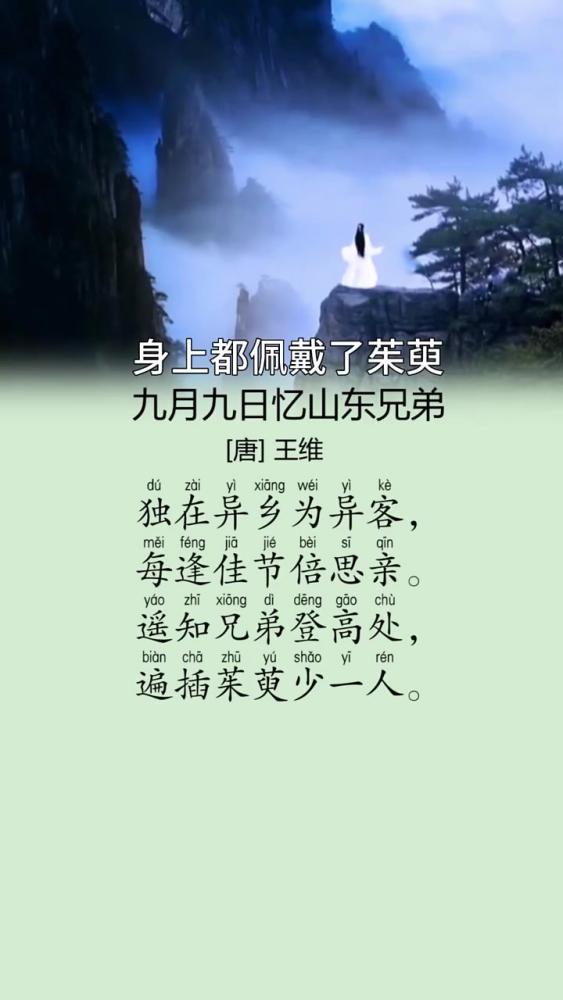 九月九日忆山东兄弟古诗朗读