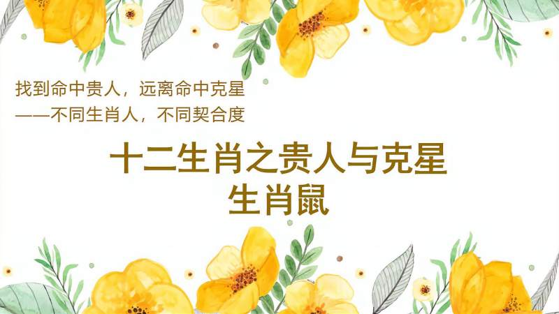 84年鼠相克的属相(07/05更新)