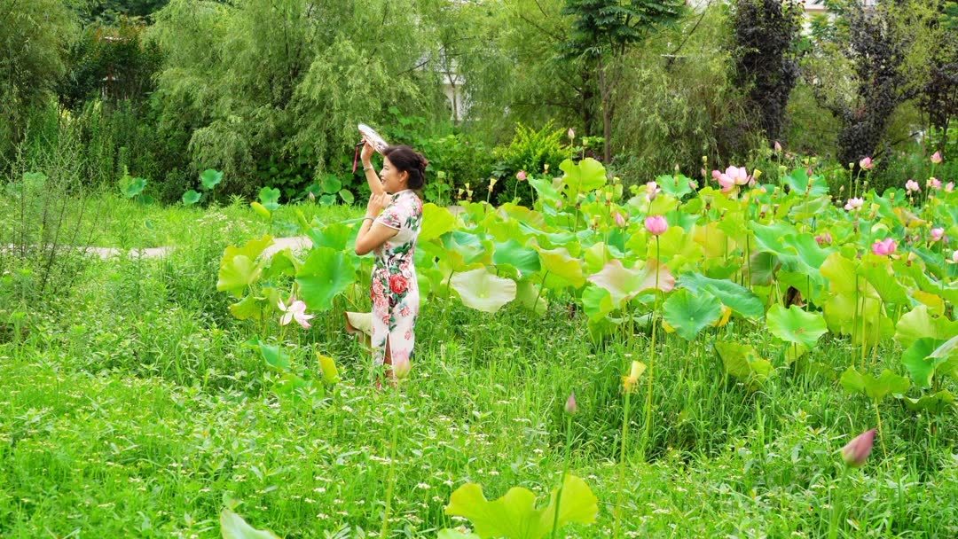 贵阳哪里好玩又便宜(03/20更新)