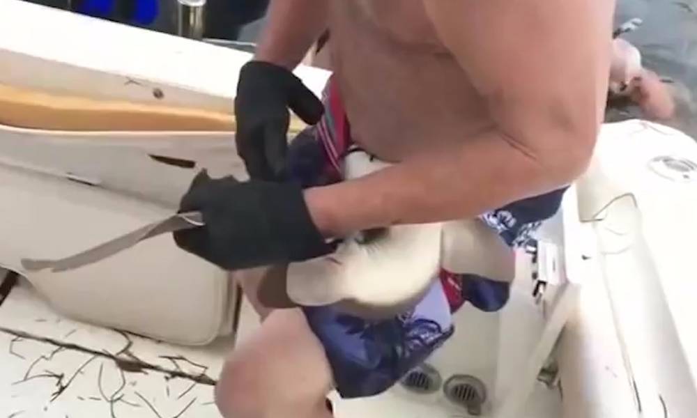 男性腹部一阵一阵疼痛(07/01更新)