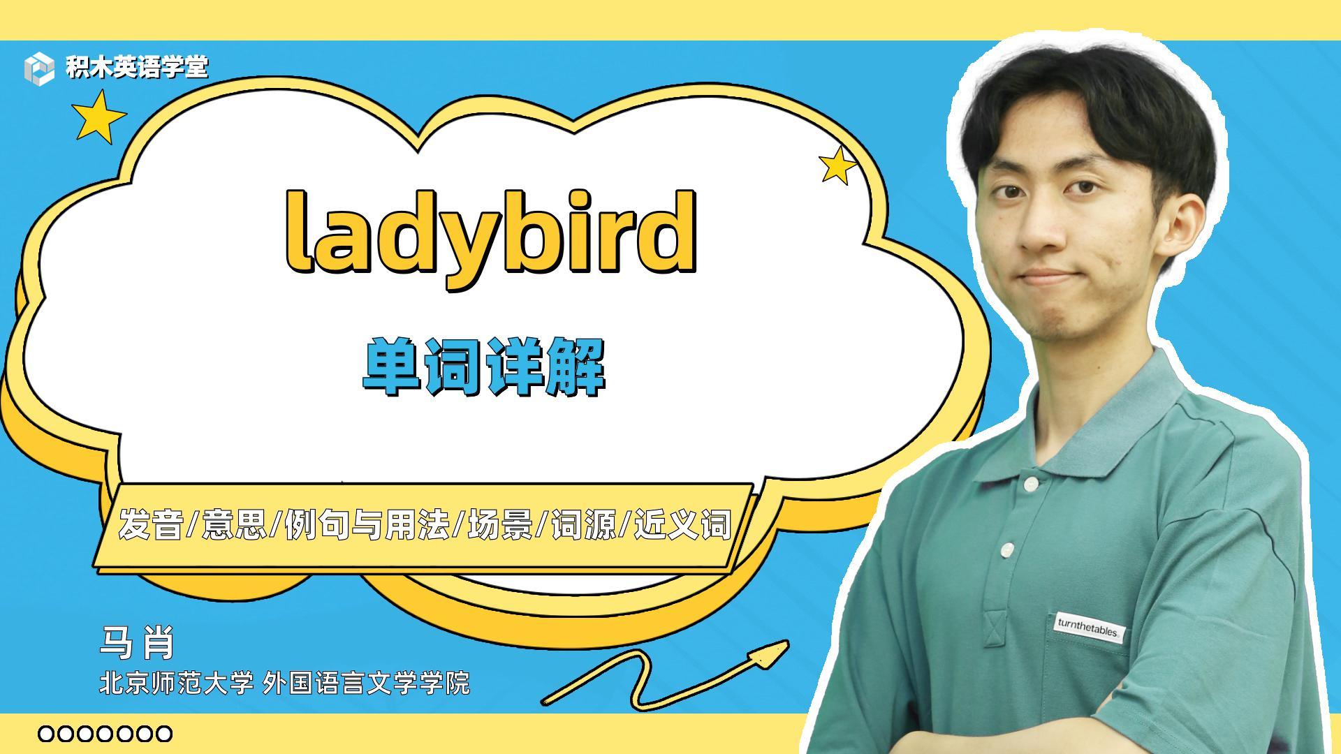 ladybird怎么读