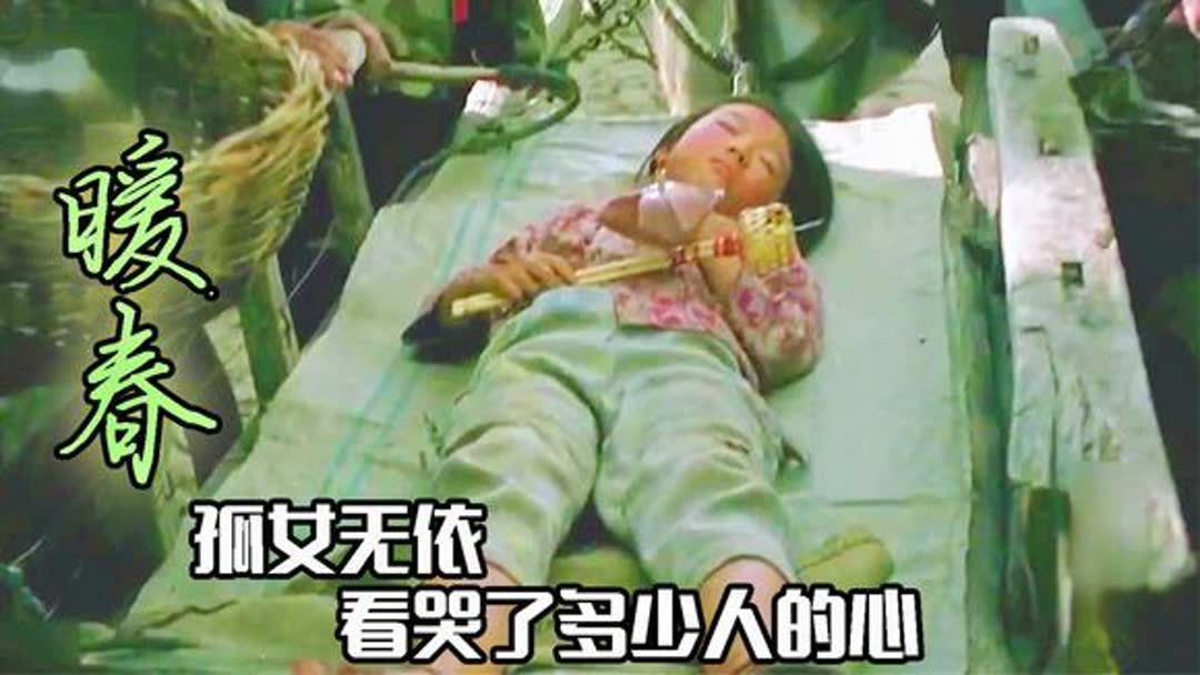 暖春电视剧剧情介绍