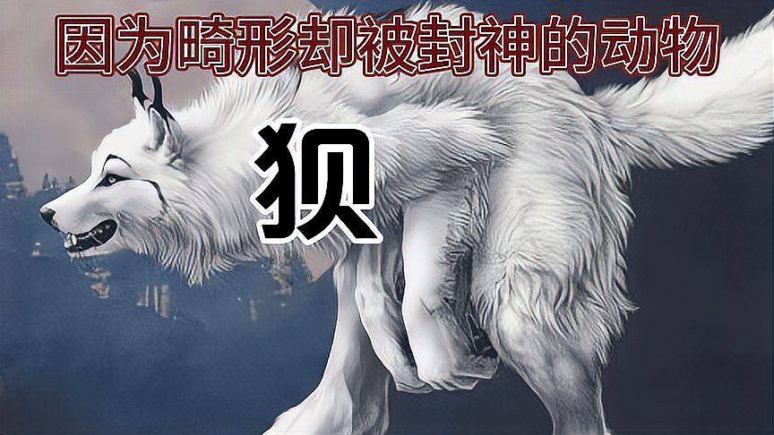 狈和彪真的存在吗(07/01更新)