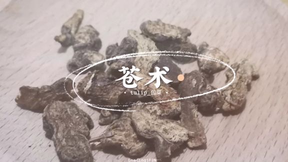 苍术的功效与作用