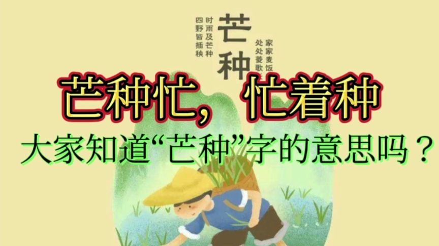 芒种读音是什么意思(02/03更新)