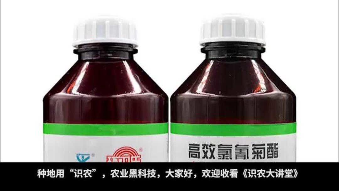 氯氰菊酯过敏吃什么药