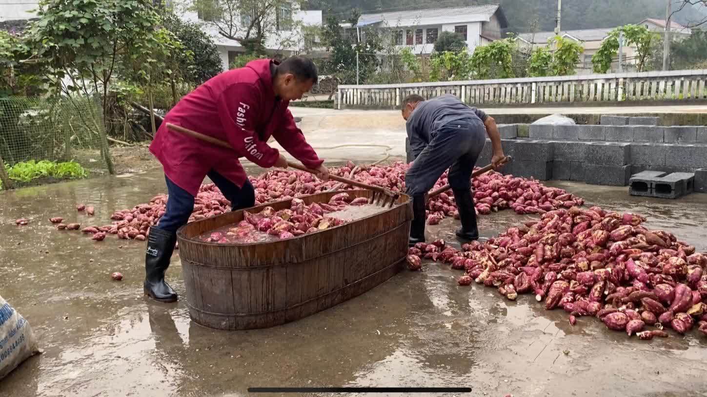 怎样去红薯污渍最有效(01/04)