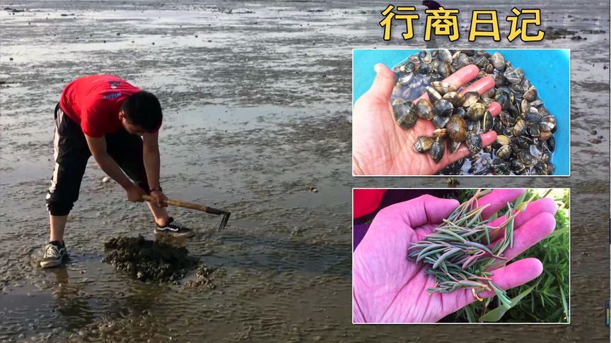 乐亭旅游景点哪里好玩