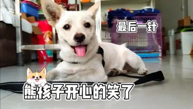 狂犬疫苗是多久之内打才有效？