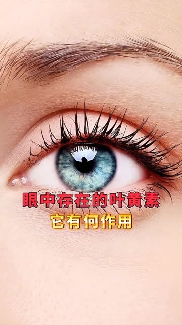 怎么的眼睛