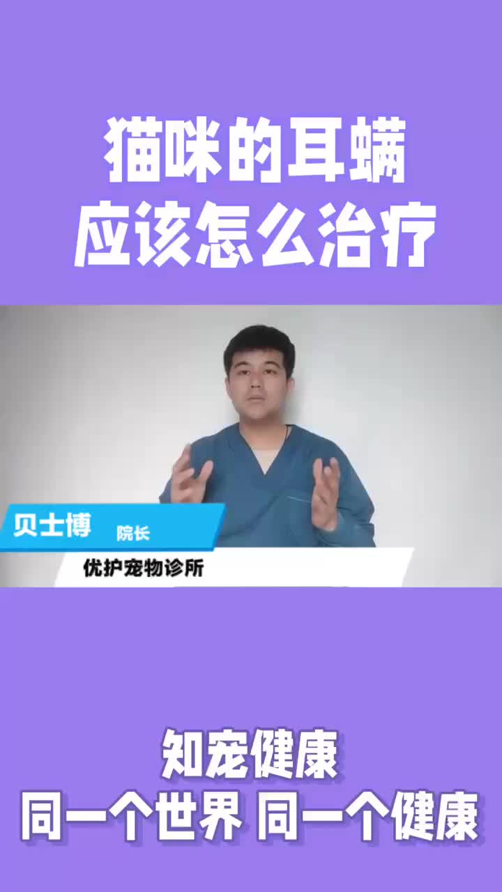 在家耳螨可以怎么治疗(03/24更新)