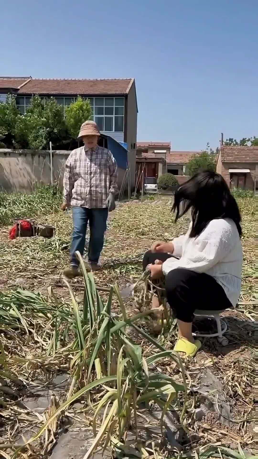 马上就要毕业了还是交不起学费怎么办啊？(孩子开学了眼下交不起学费怎么办)