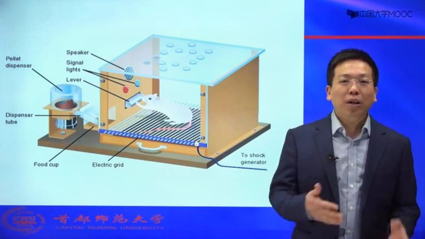 什么是条件反射的强化(什么是条件反射的强化？)