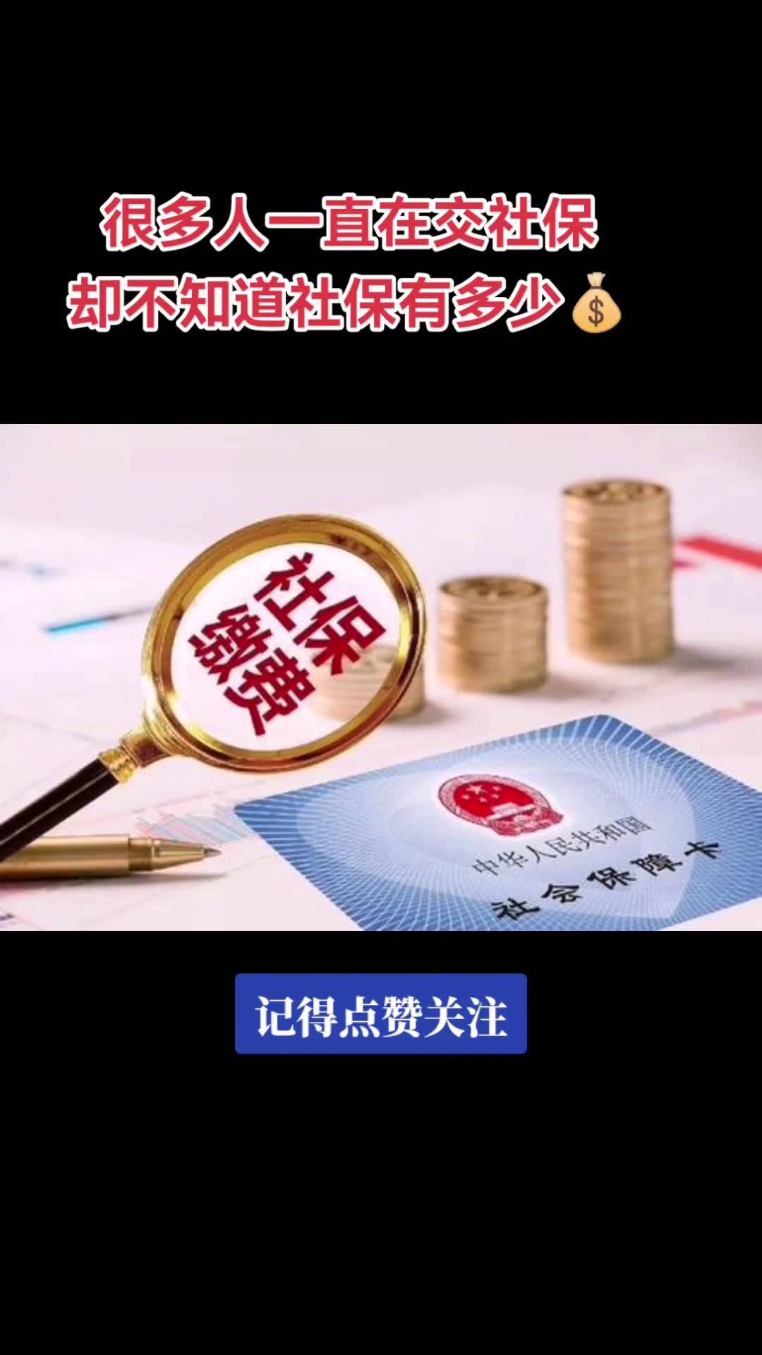 社保卡公司交多少钱