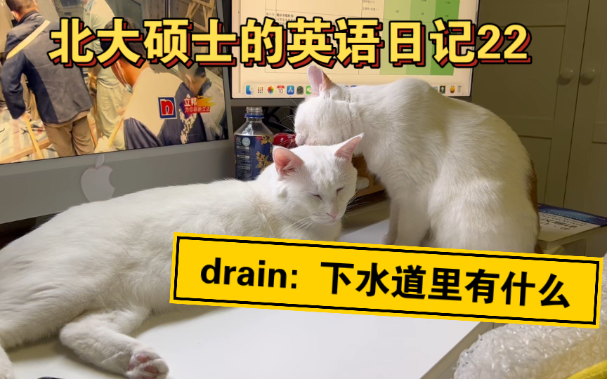 drain是什么意思