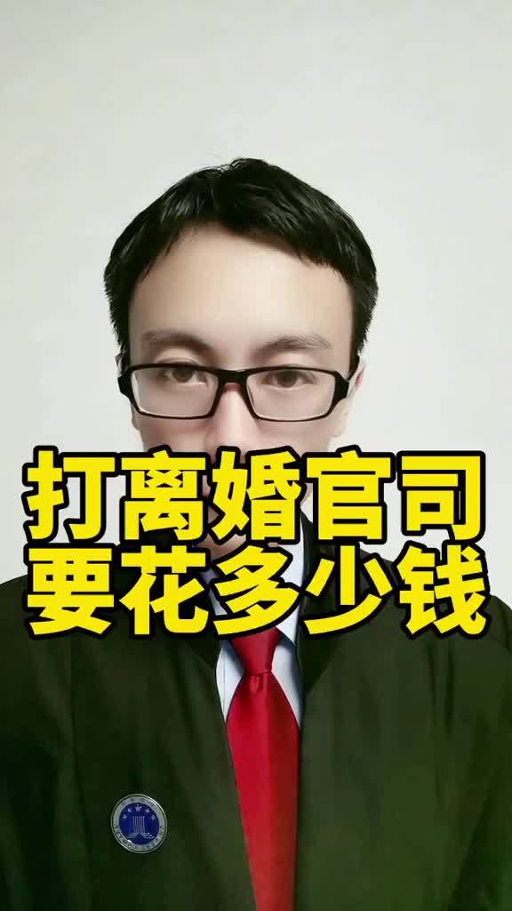 现在请一个律师打离婚官司，需要多少钱？(请问村委强占村民经济财产纠纷案，人民法院..)