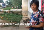 小度拉肚子吃什么药好