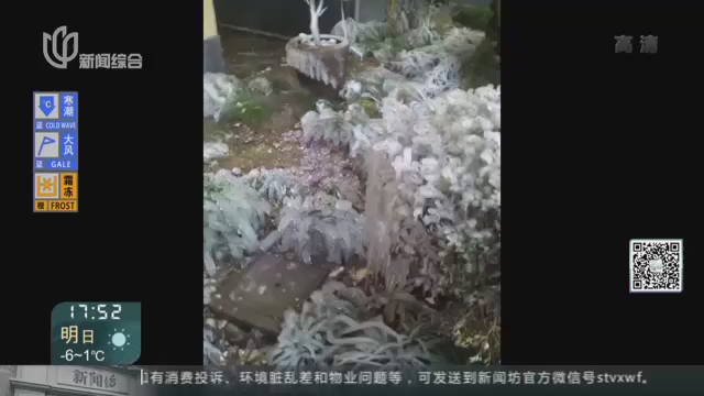 2016年最冷是哪一天