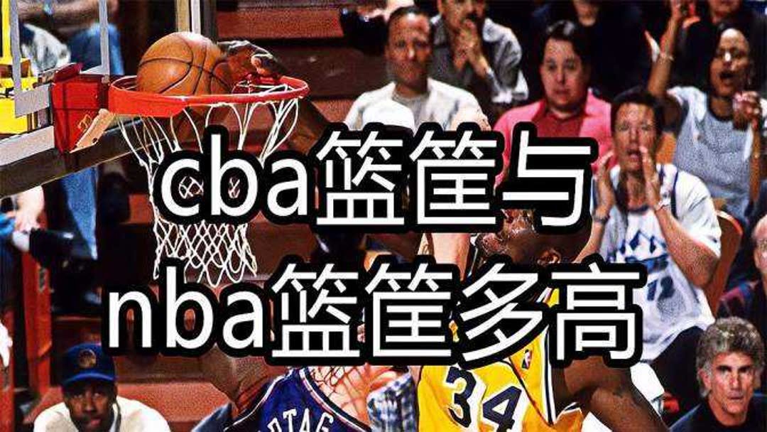 nba篮框高多少米