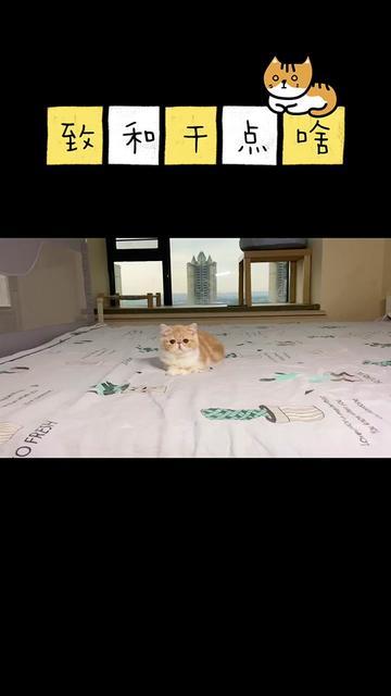 致和