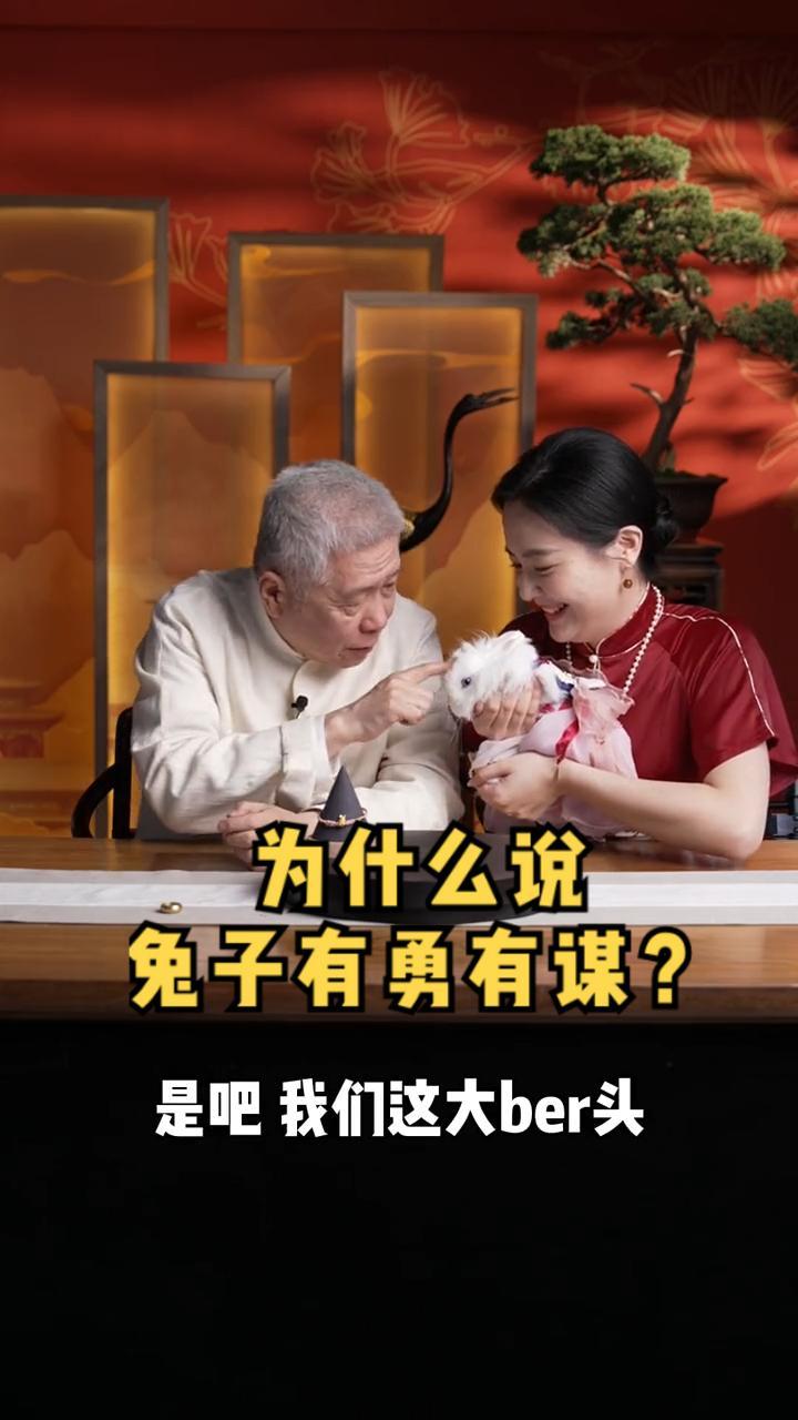 兔兔是哪个直播