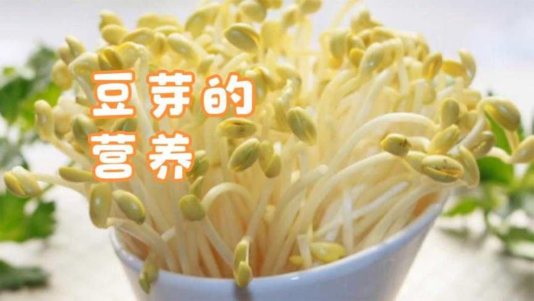 豆芽菜的功效与作用(02/07更新)