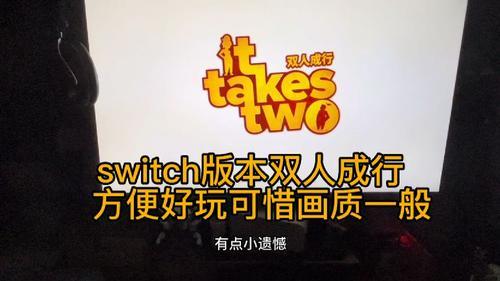 swtch双人游戏