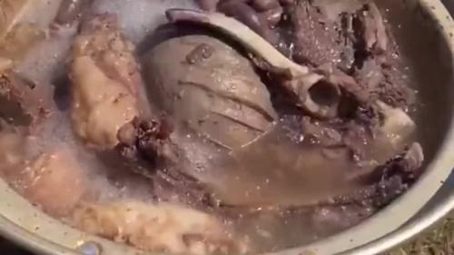 蒙古人如何待客？？
