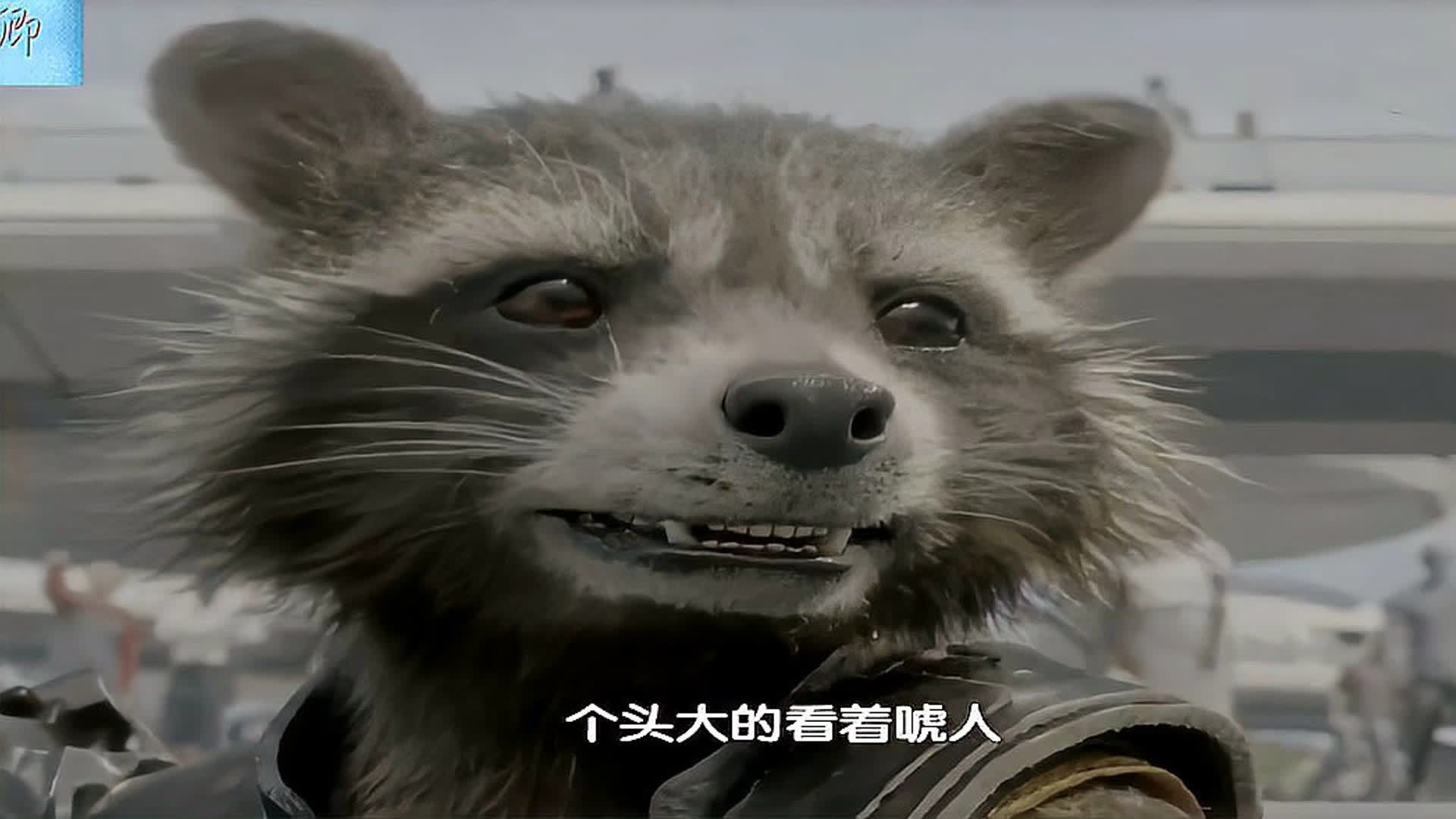关于九神兽介绍的电影