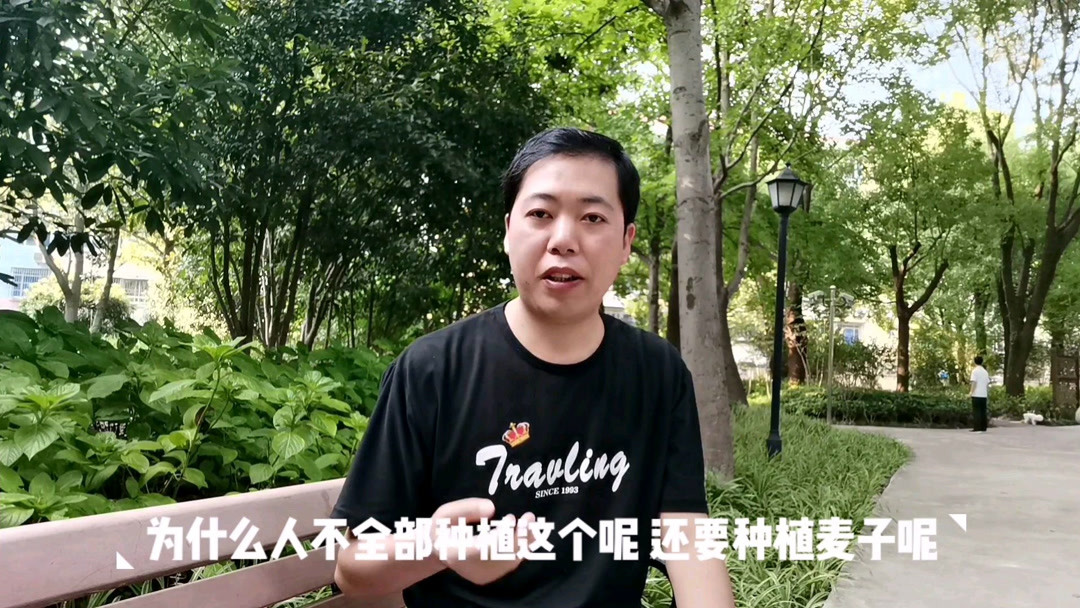 农民不种粮食该吃什么药