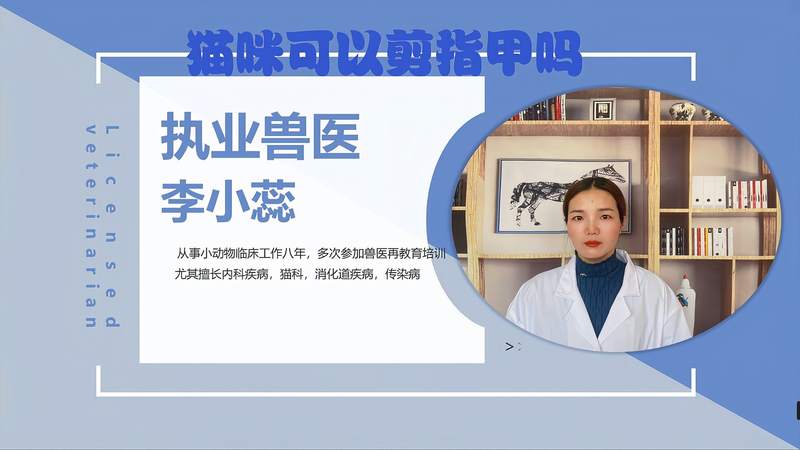 40天猫咪指甲能不能剪？
