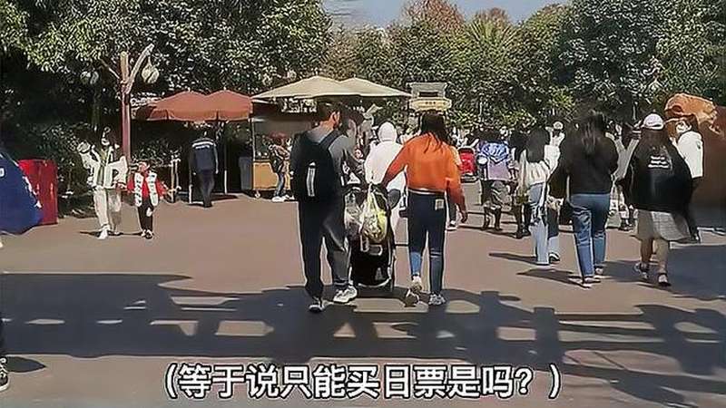 迪士尼年卡什么时候卖？(上海迪斯尼年卡多少钱)