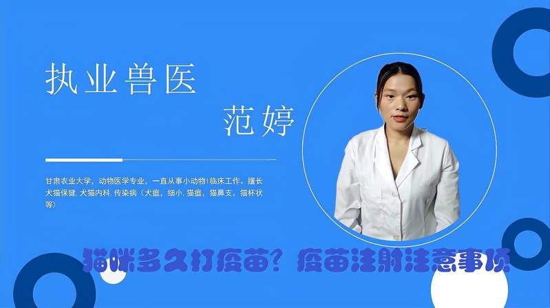 小猫咪多久打疫苗