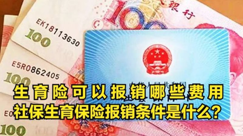 深圳社保可以报哪些(01/19)