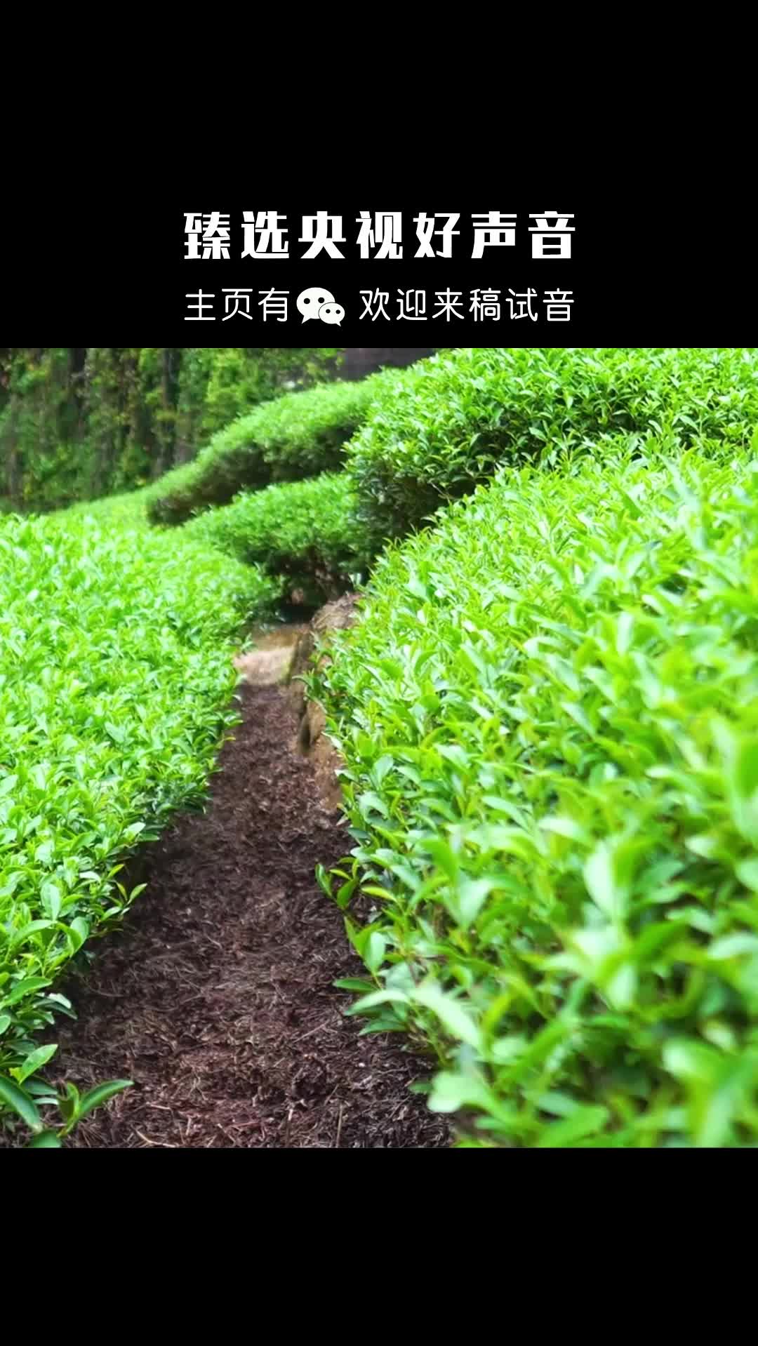 山西省中医高职学校名单(山西中医学院专科录取分数线)