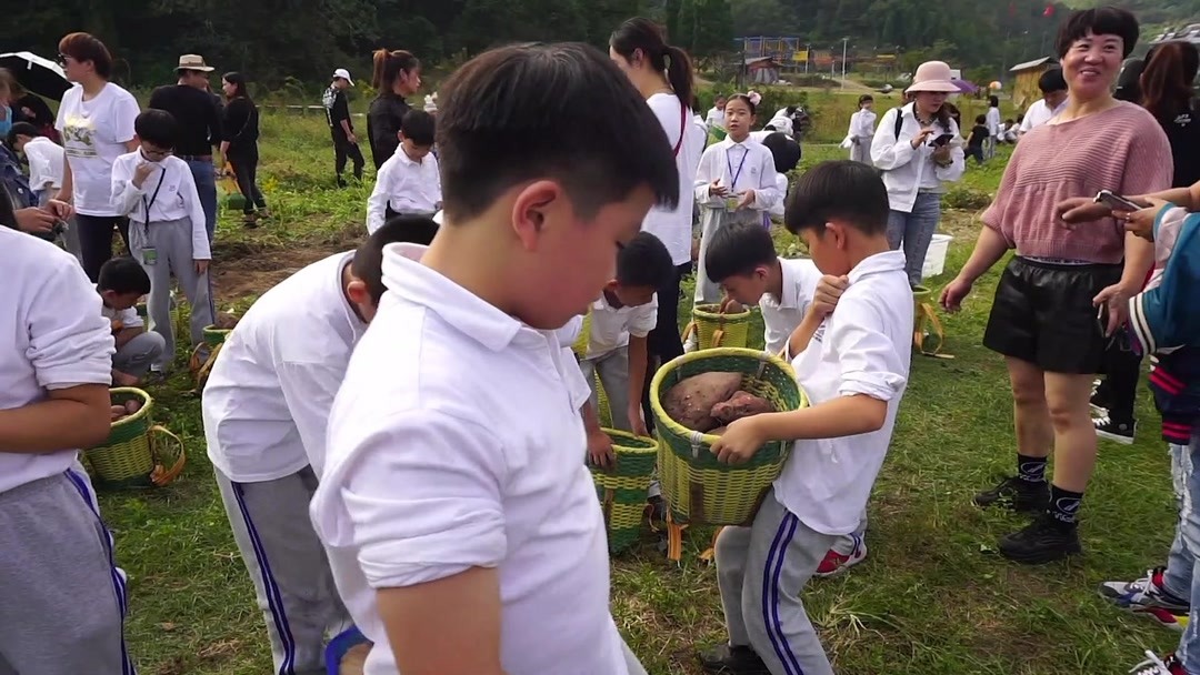 温岭师范附小学费多少(师大附小和台三小，选哪个好？)