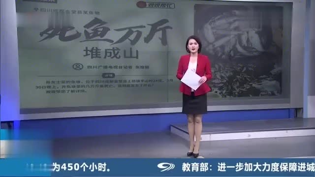 成都至金堂土桥时刻表
