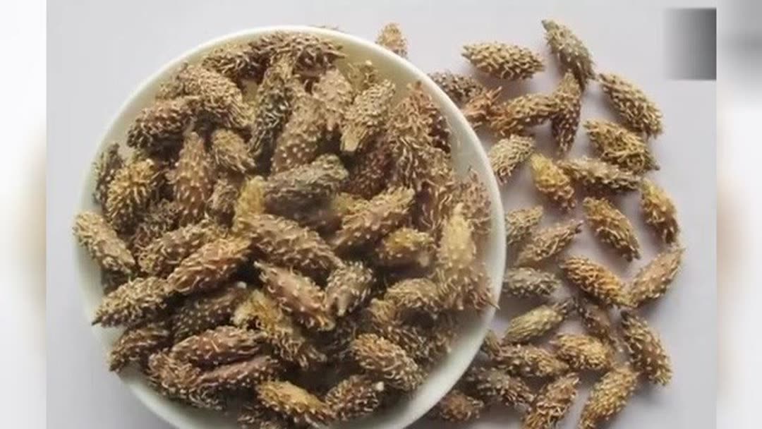 苍耳子鼻炎滴丸的功效与作用