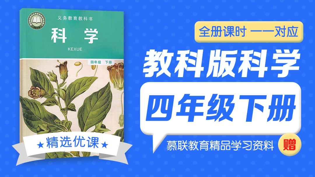 植物生长的根,茎,叶,花,果实有什么作用？