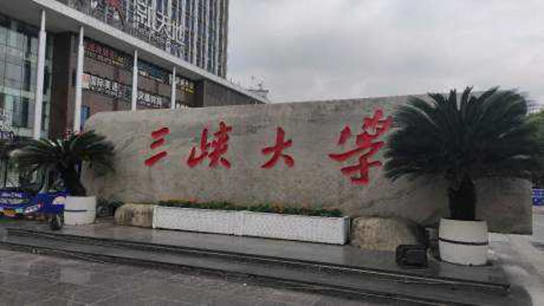 湖北省宜昌市三峡大学在那个区？