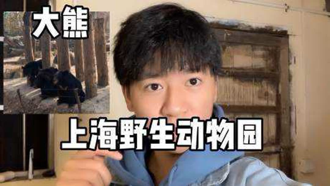 上海野生动物园分为哪几个区？