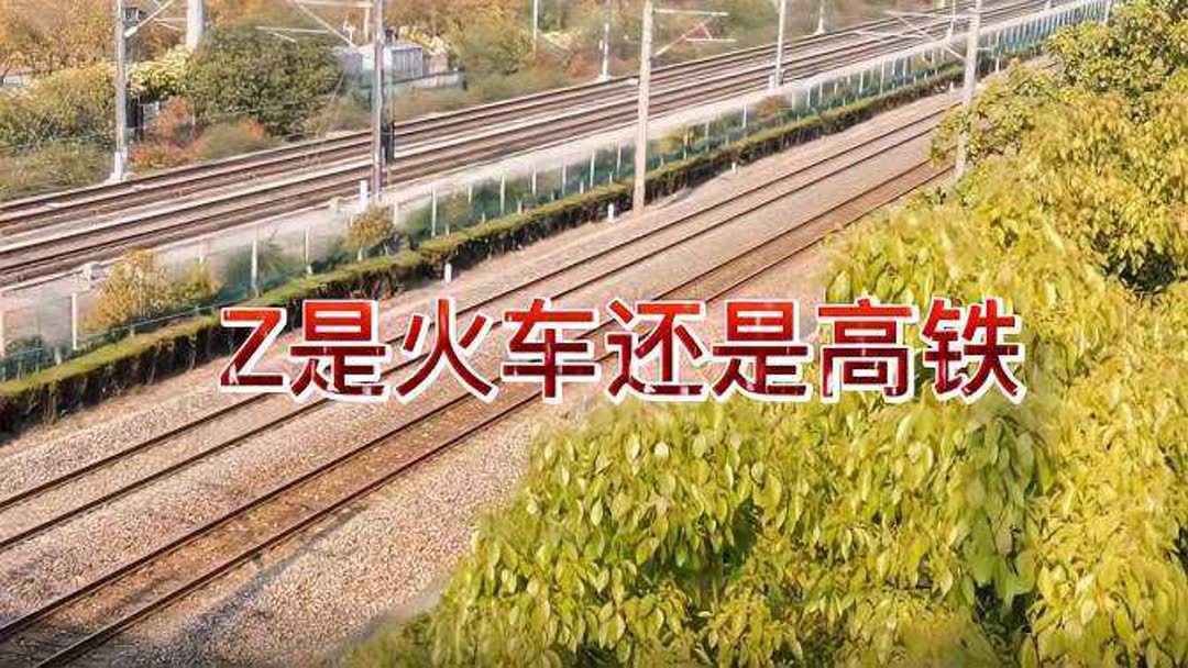 高铁z开头的是什么车