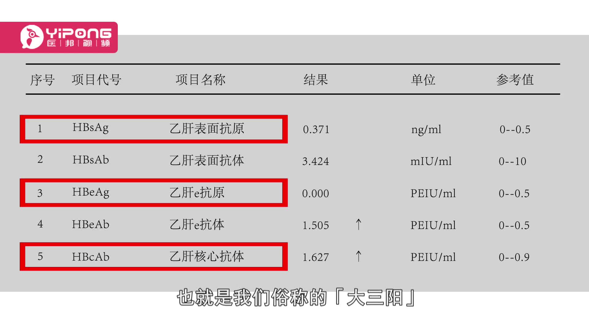 体检肝功能五项(01/19)