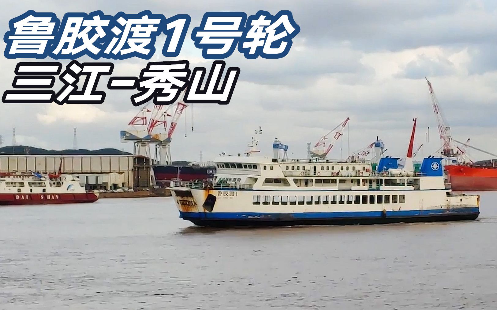 青岛轮渡渡车多少钱