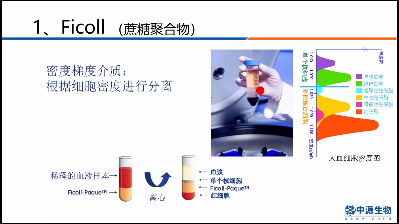 细胞裂解液工作原理